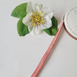 Load image into Gallery viewer, Juta Ribbon -3/8" (10mm) - 5 yards