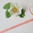 Load image into Gallery viewer, Juta Ribbon -3/8" (10mm) - 5 yards