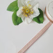 Load image into Gallery viewer, Juta Ribbon -3/8" (10mm) - 5 yards
