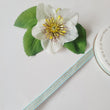 Load image into Gallery viewer, Juta Ribbon -3/8" (10mm) - 5 yards