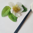 Load image into Gallery viewer, Black Satin Ribbon -3/8" (10mm) - Sold by the Yard