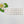 Load image into Gallery viewer, Stickers for Clays Multicolor STY Alice 44 Units
