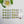 Load image into Gallery viewer, Adhesive Resin Cactus V.A.for Clays Multicolor (SM) 36UN - 1.8 cm
