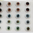 Load image into Gallery viewer, STY REALISTIC16 Adhesive Resin Eyes for Clays Multicolor STY Realistic Xx-Gr/ Xx-Lg 16mm 20 Pairs
