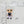 Load image into Gallery viewer, 319 Liam The Photographer Clay Doll for Bow-Center, Jewelry Charms, Accessories, and More
