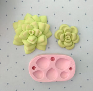 Mini Succulents Silicone Mold 648 MA