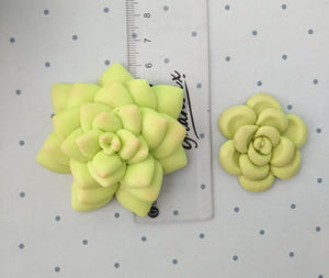 Mini Succulents Silicone Mold 648 MA