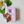 Load image into Gallery viewer, FNY #09 Little Fox  Silicone Mold
