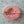 Load image into Gallery viewer, MA 331 Seashell #1 Silicone Mold
